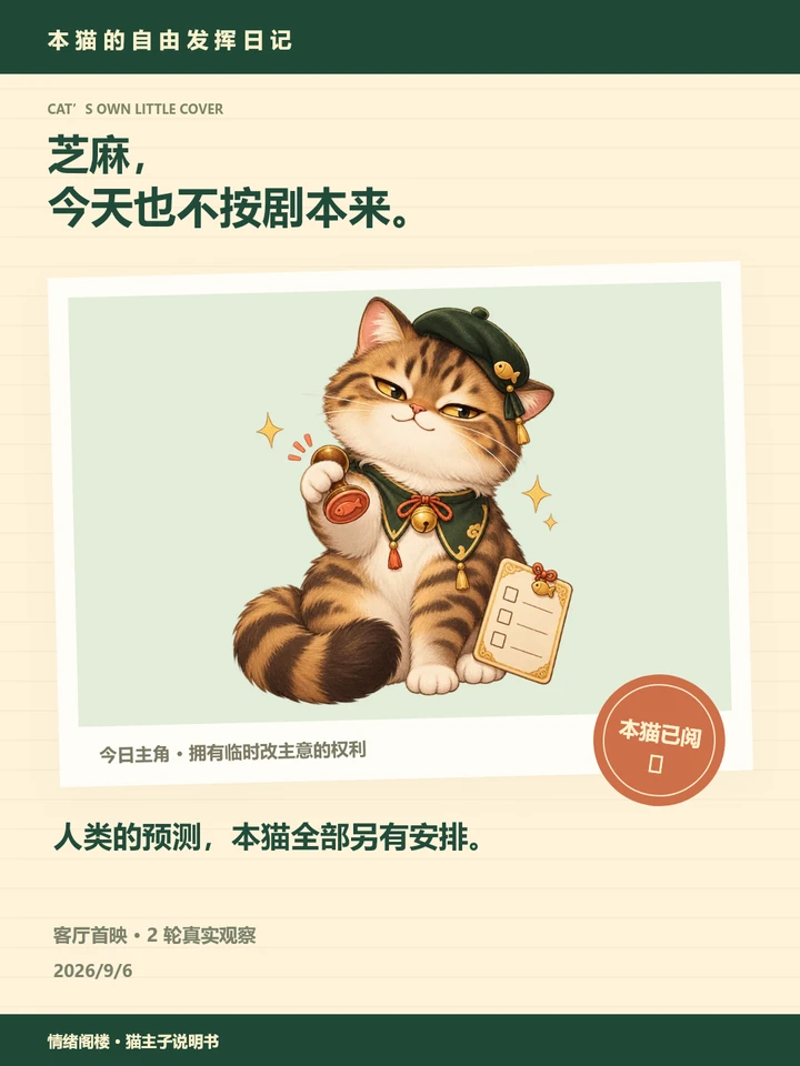 猫主子观察手记的页面设计截图